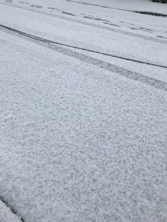 道路に残ったタイヤの跡。雪が降ってきたわ。